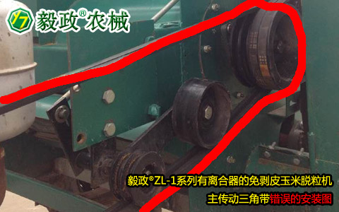 毅政牌ZL1系列有離合器的免剝皮玉米脫粒機(jī)，主傳動(dòng)三角帶錯(cuò)誤安裝